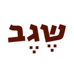 קבוצת שגב
