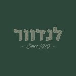 לנדוור קניון איילון
